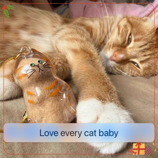 Cat and Dog Hair Keepsake Capsule Pendant Keychain