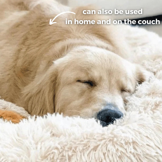 Aprolo™ Protecting Car Bed