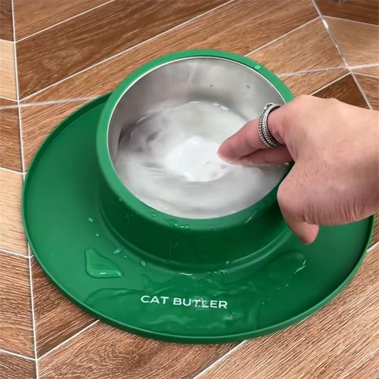 Pets Anti Slip Bowl