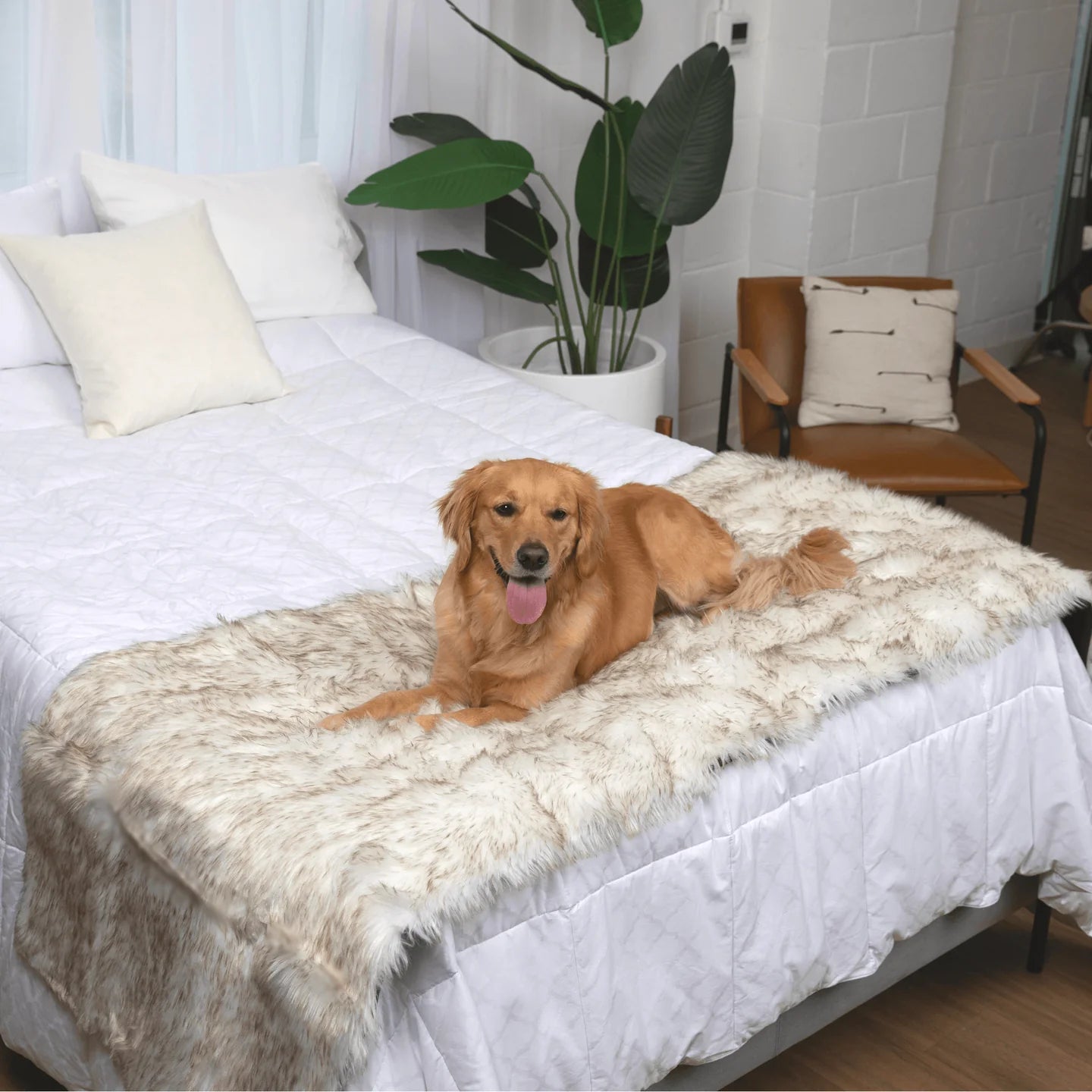 Aprolo™ Luxury Waterproof Pet Blanket & Bed Runner