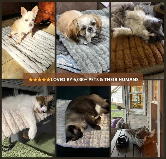 Self-Warming Pet Mat