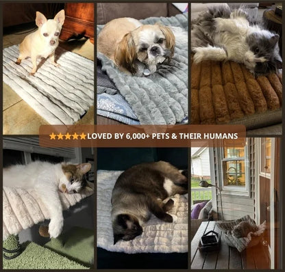 Self-Warming Pet Mat