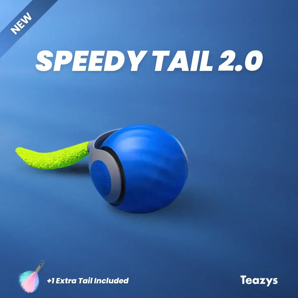 SPEEDY TAIL 2.0 ™‎‎‎‎‎