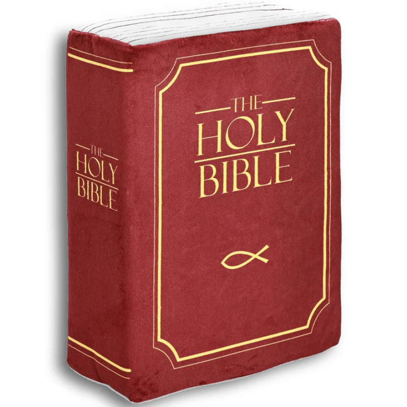 DivineRest™ - The Original Bible Scripture Pillow