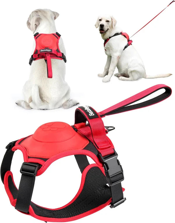 Dog Harness and Retractable Leash Set All-in-One