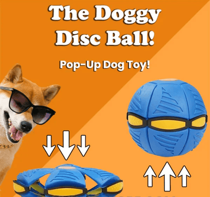 PupGlide – Transforming Disc Ball Toy for Dogs