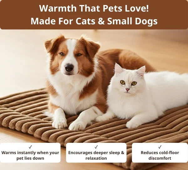 Self-Warming Pet Mat