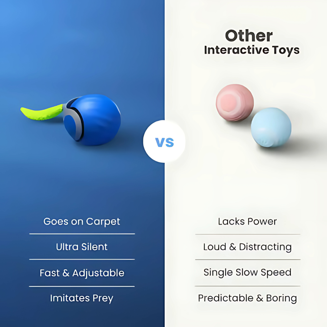 Electric Cat Ball with Fun Tail