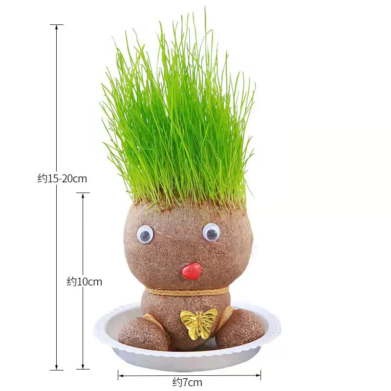 Plant Grass Doll