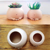 Super Cute Flowerpot