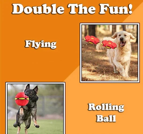 PupGlide – Transforming Disc Ball Toy for Dogs