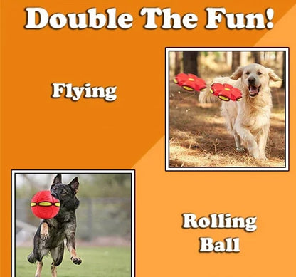 PupGlide – Transforming Disc Ball Toy for Dogs