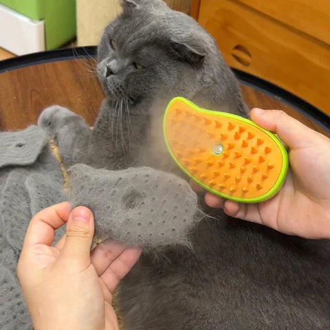 Steamy Cat Brush