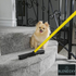 Pet Hair Removal Broom