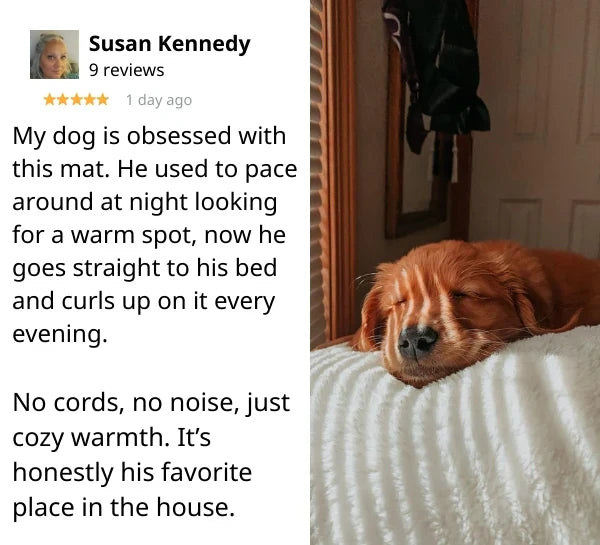 Self-Warming Pet Mat