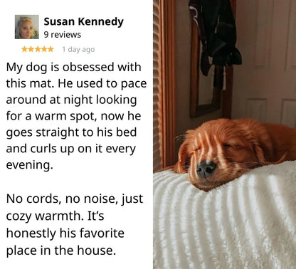 Self-Warming Pet Mat