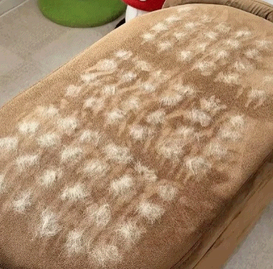 GroomEase™ Pet Hair Removal Gloves