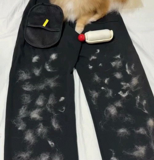 Buy 1 Get 1 Free🔥Pawzioo Electrostatic Pet Hair Removal Grooming Gloves