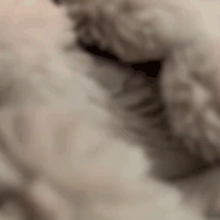 Relaxing Plush With Breathing