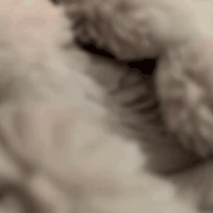 Relaxing Plush With Breathing