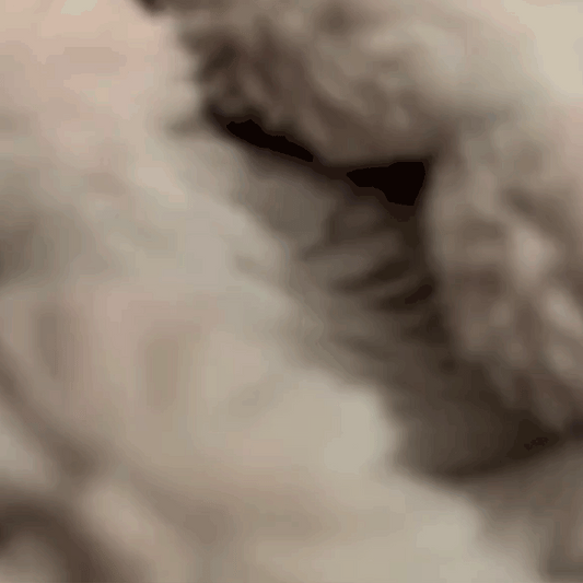 Relaxing Plush With Breathing