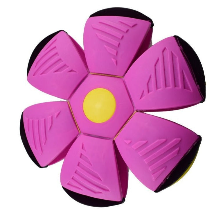 Magic Flying Ball Toy For Kids and Pets