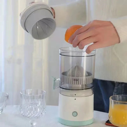 Electric Juicer