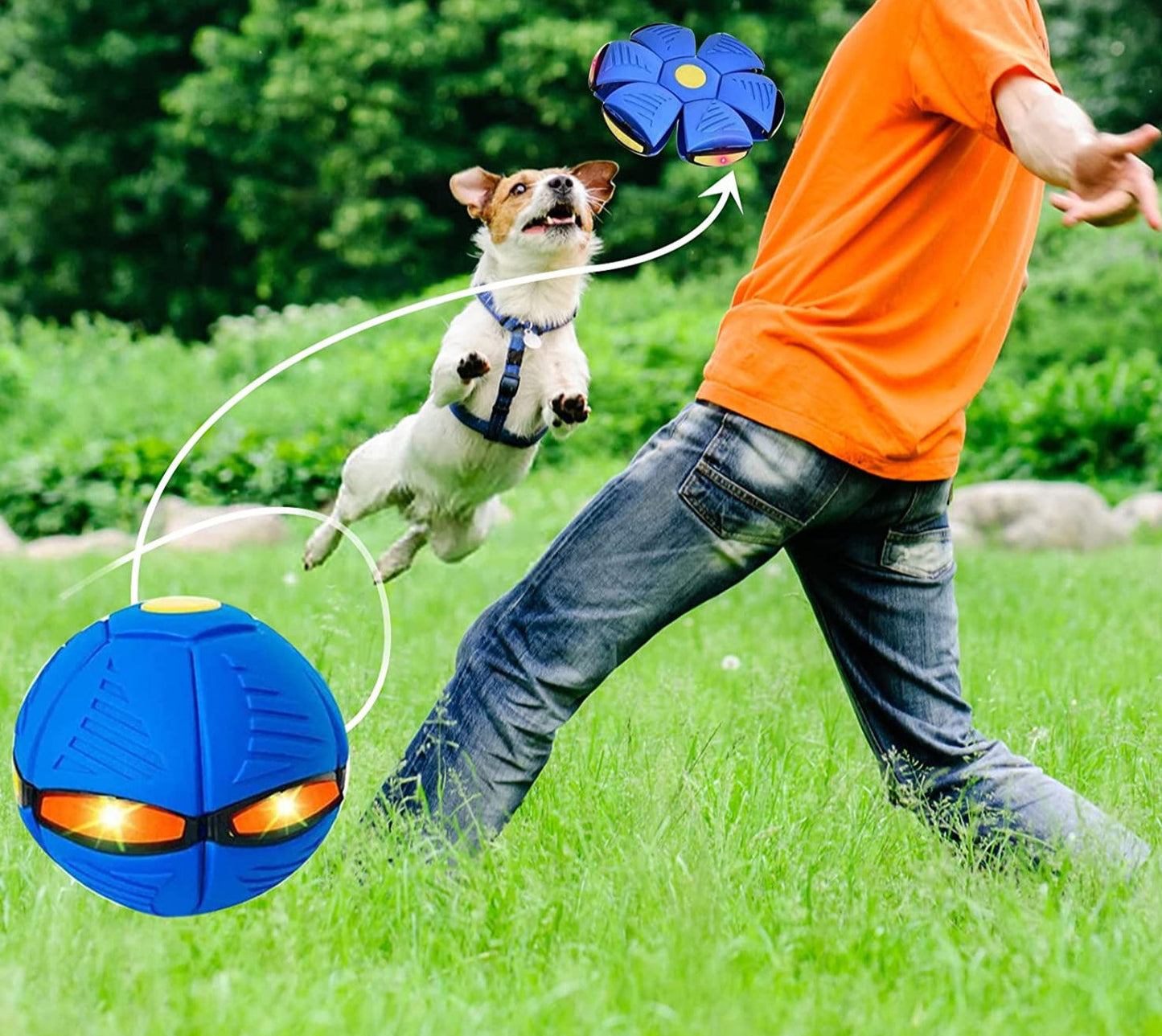 Magic Flying Ball Toy For Kids and Pets