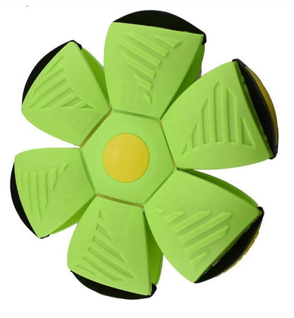 Magic Flying Ball Toy For Kids and Pets