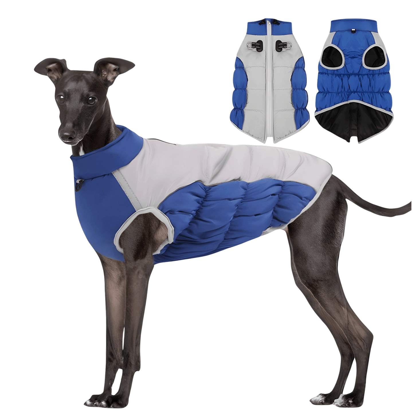 Winter Dog Coat – Insulated w/ Built-In Harness