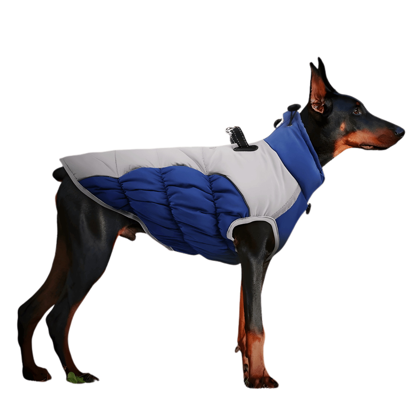 Winter Dog Coat – Insulated w/ Built-In Harness