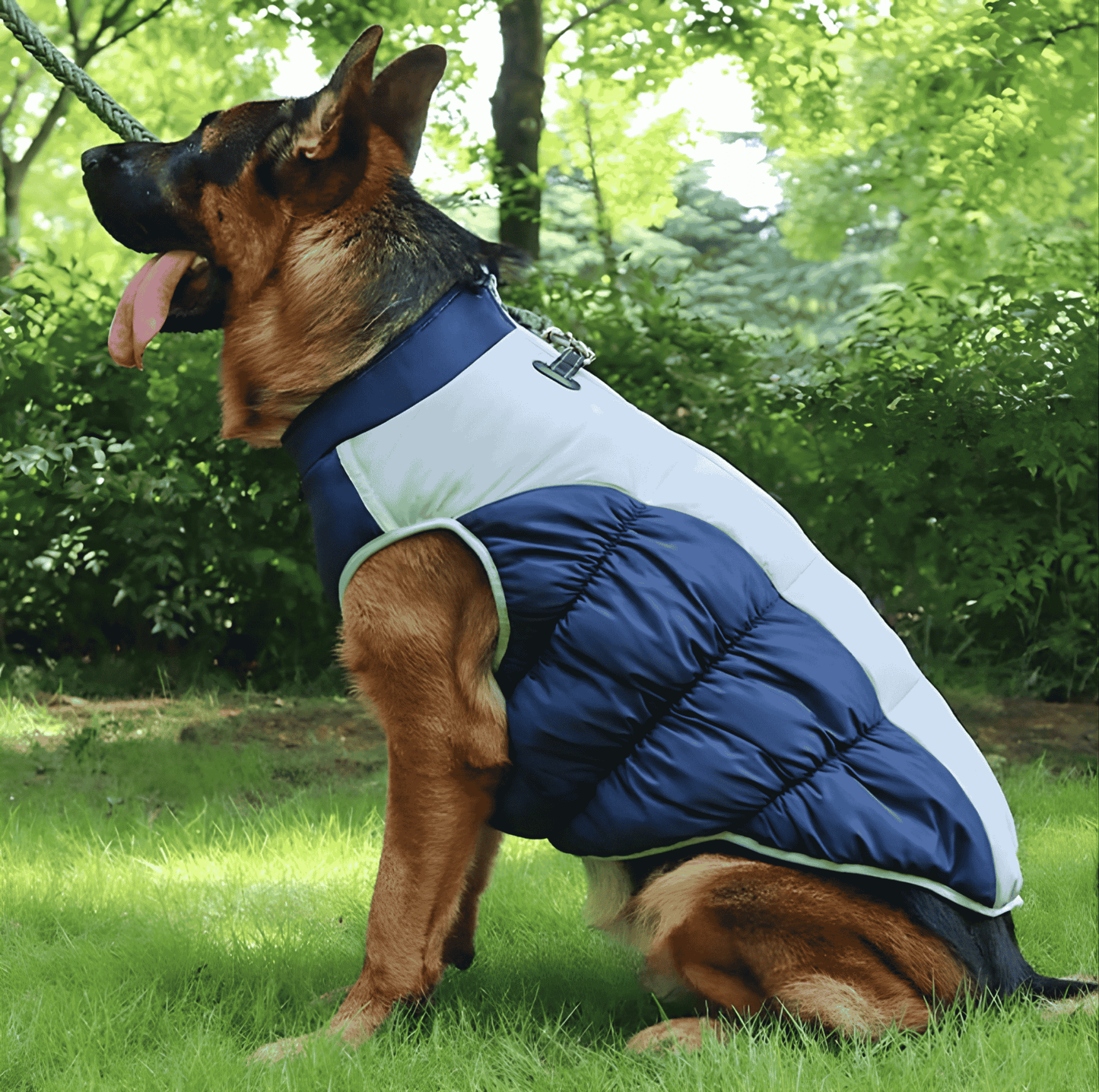 Winter Dog Coat – Insulated w/ Built-In Harness