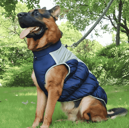 Winter Dog Coat – Insulated w/ Built-In Harness