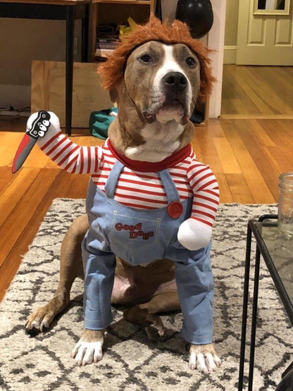 Funny Dog Costume