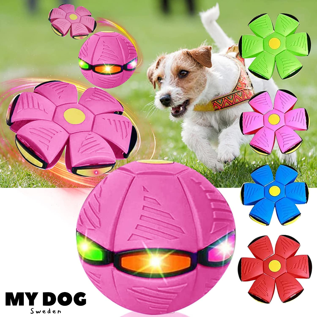 Magic Flying Ball Toy For Kids and Pets