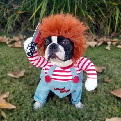 Funny Dog Costume