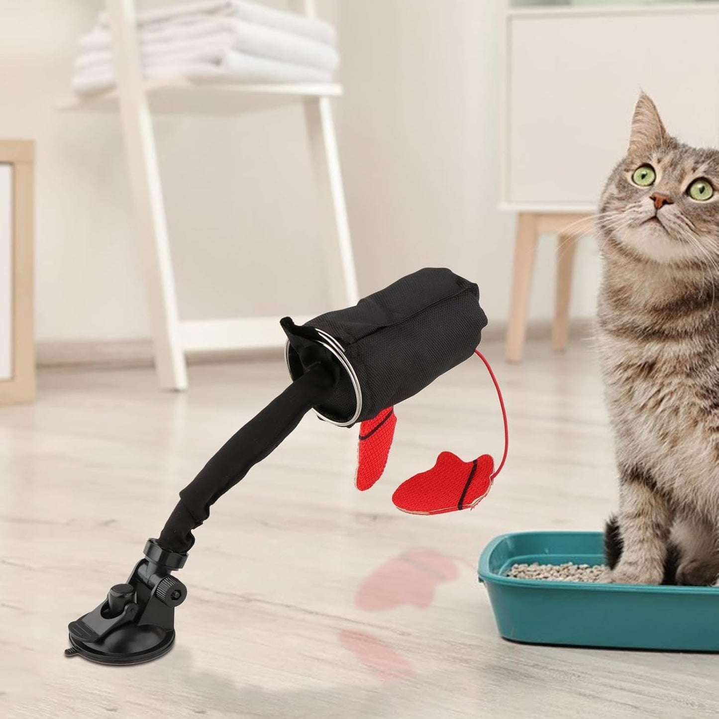 🥊Cat Boxing Toy😻