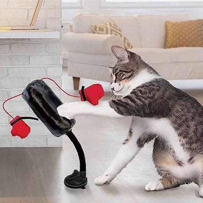 🥊Cat Boxing Toy😻