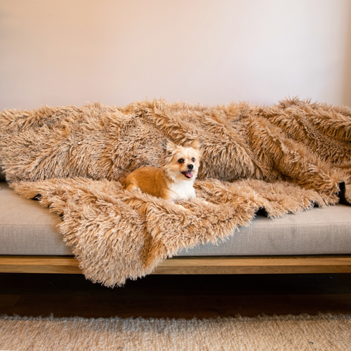 Aprolo™ Luxury Waterproof Pet Blanket & Bed Runner