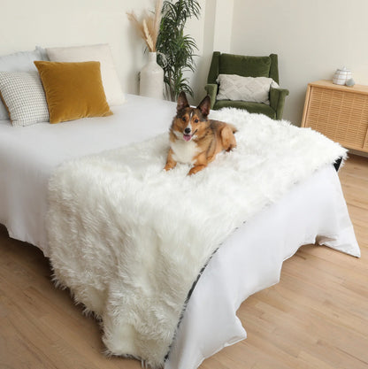 Aprolo™ Luxury Waterproof Pet Blanket & Bed Runner