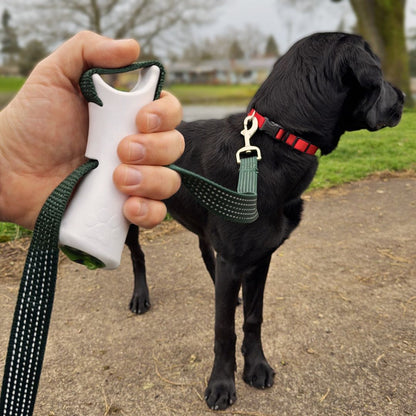 Aprolo™ Quick Control Leash – Lock, Walk, Enjoy