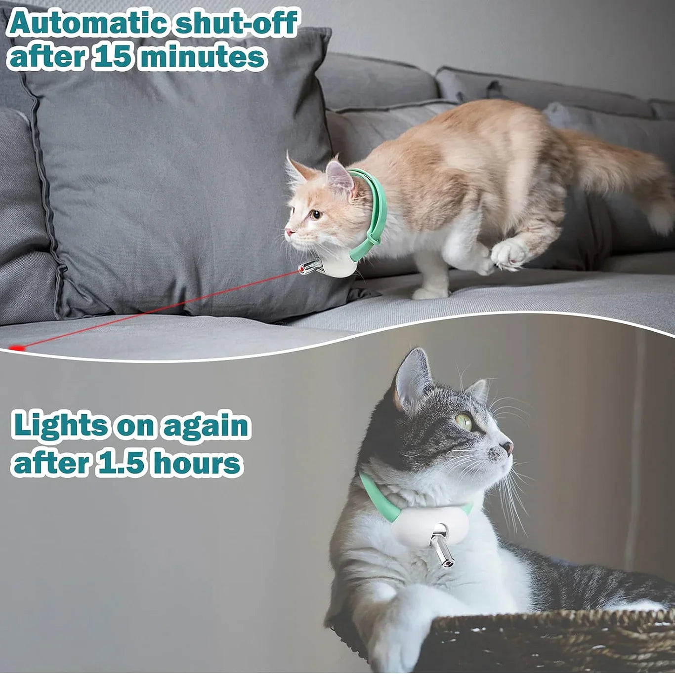 Interactive Cat Collar Laser Toy