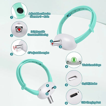 Interactive Cat Collar Laser Toy