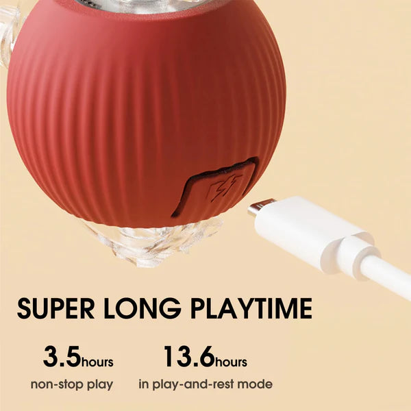 Rollraptor Interactive Pet Toy Ball