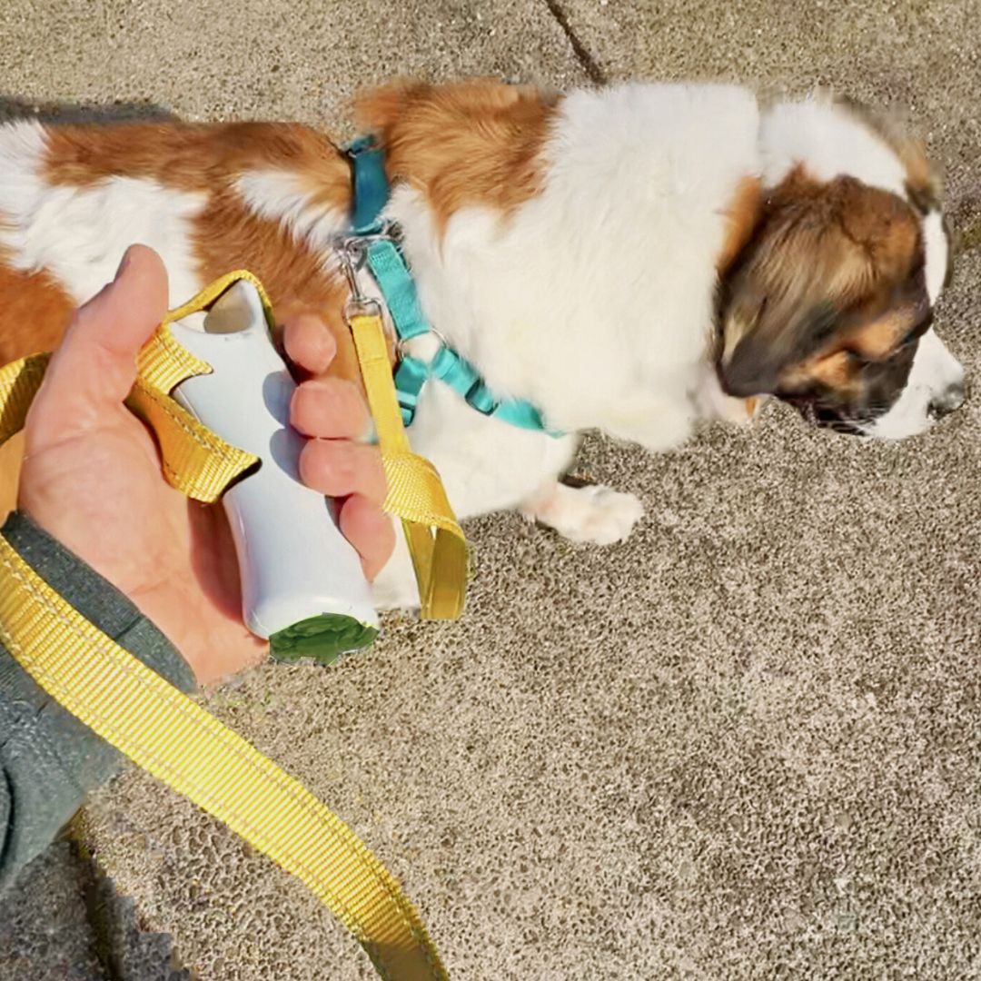 Aprolo™ Quick Control Leash – Lock, Walk, Enjoy