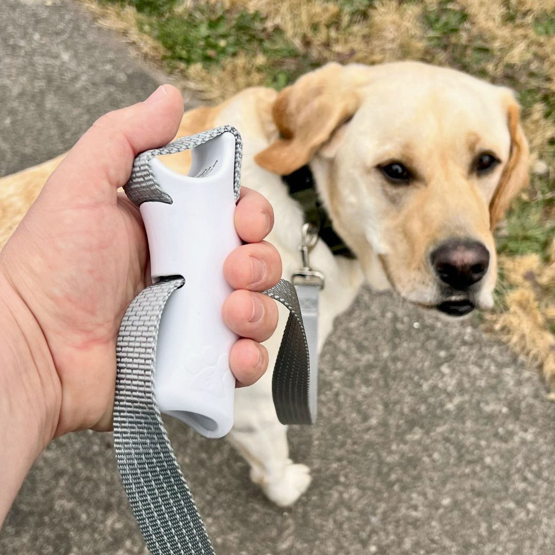 Aprolo™ Quick Control Leash – Lock, Walk, Enjoy
