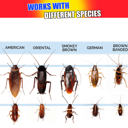 GFOUK™ Roach Trap Terminator