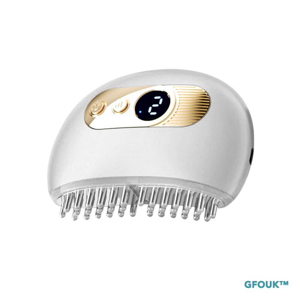 GFOUK™ EMS Lifting Facial And Nourishing Scalp Acupoint Massage Device